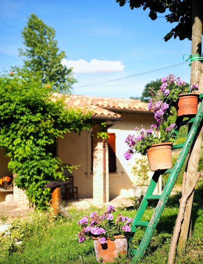 Vila Arcadia Spello Exteriér fotografie