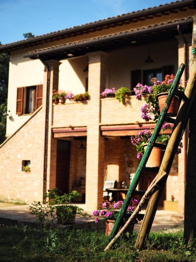 Vila Arcadia Spello Exteriér fotografie